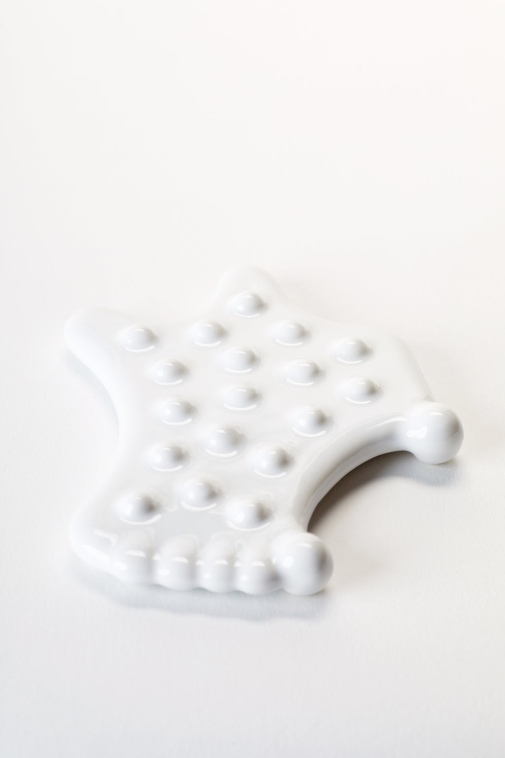 EcoFlow Face & Jaw