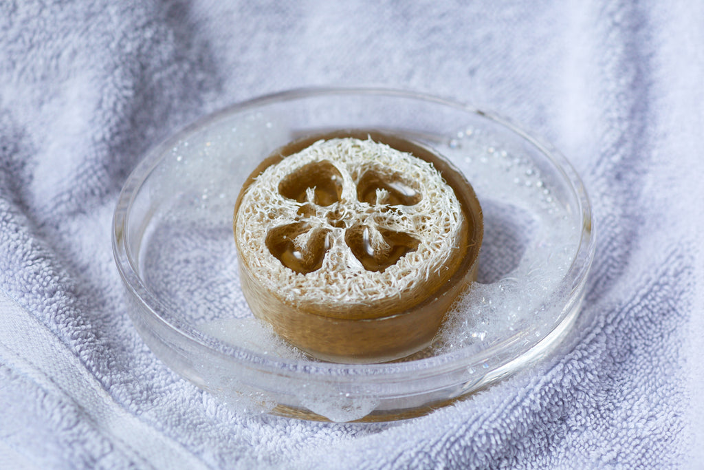 Oceana Loofah - Social Justice Soap