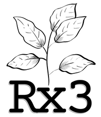RX3 LOGO